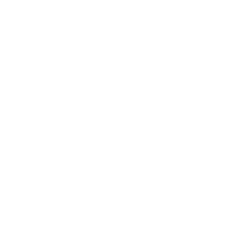 Drew League Logo